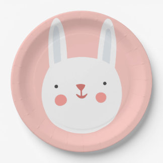 Bunny Birthday Kids Wall Decor  Paper Plate