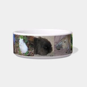 Bunny Bowl