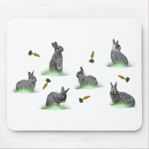 Bunny Carrot Craze Mousemat (choose colour)