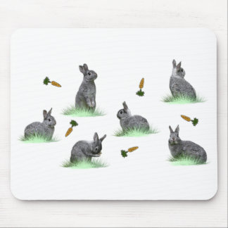 Bunny Carrot Craze Mousemat (choose colour)