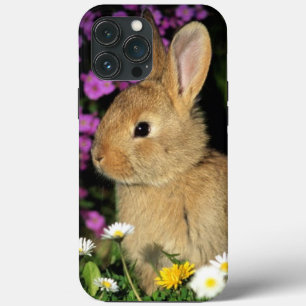 Bunny iPhone 13 Pro Max Case