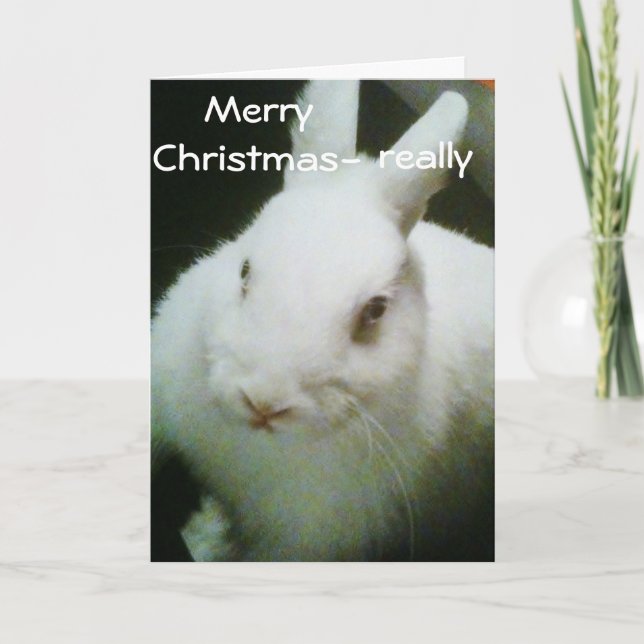 BUNNY CELEBRATES "CHRISTMAS" HOLIDAY CARD (Front)