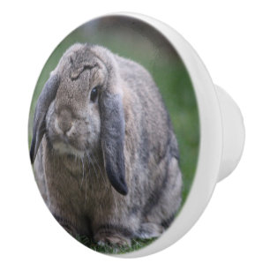 bunny ceramic knob