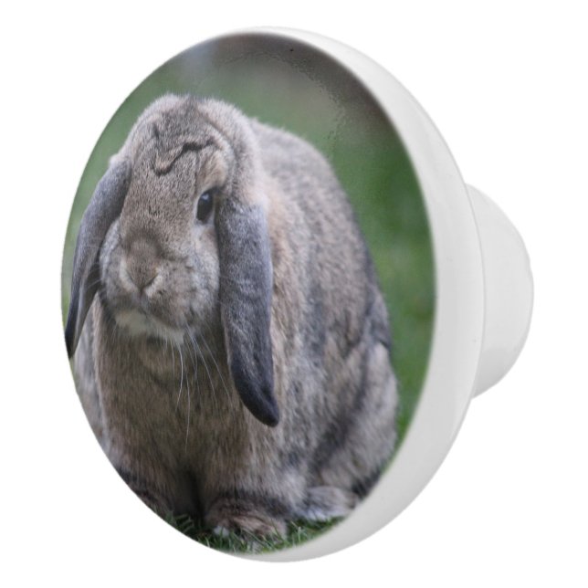bunny ceramic knob (Right)