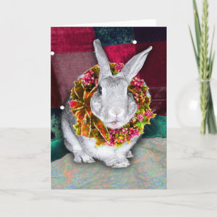 Bunny Christmas Card 2