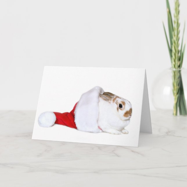 Bunny Christmas Holiday Card (Front)