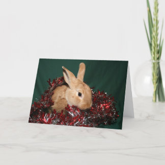 Bunny Christmas Holiday Card