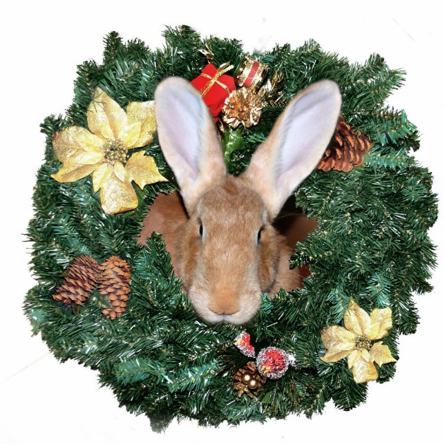 Bunny Christmas ornament Photo Sculpture Decoration (Front)