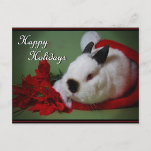 "Bunny Christmas" Photo Card