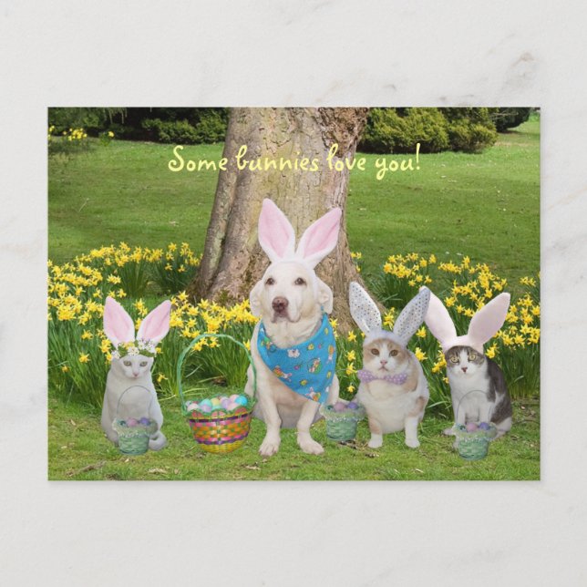 Bunny Dog with Bunny Cats Holiday Postcard (Front)