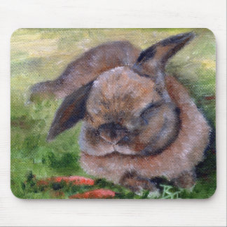 Bunny Dreams Mouse Mat