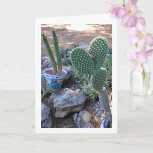 Bunny Ears Cactus and Eve's Pin Cactus Plant Card