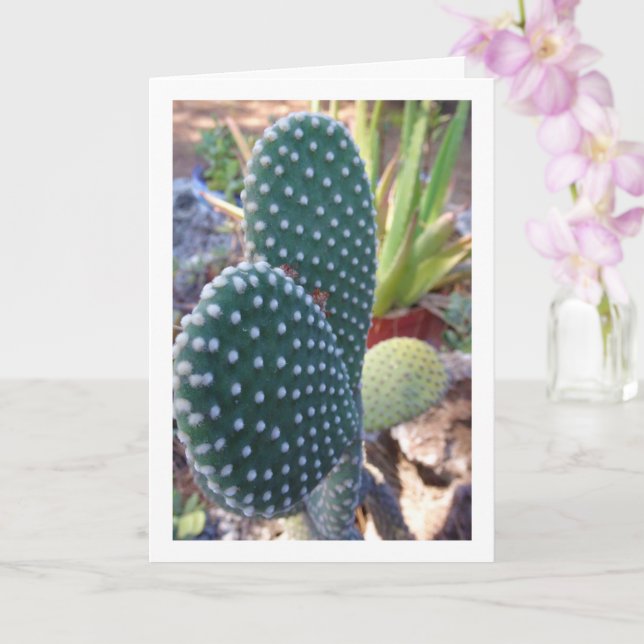 Bunny Ears Cactus Plant Card (Orchid)