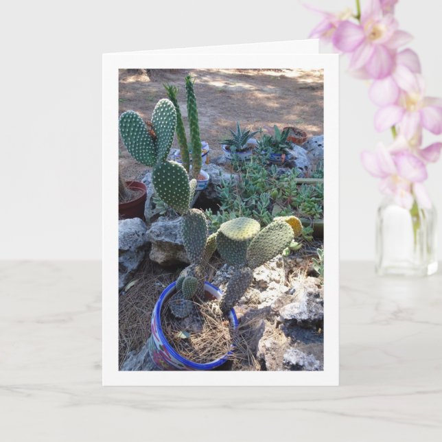 Bunny Ears Cactus Plant Card (Orchid)