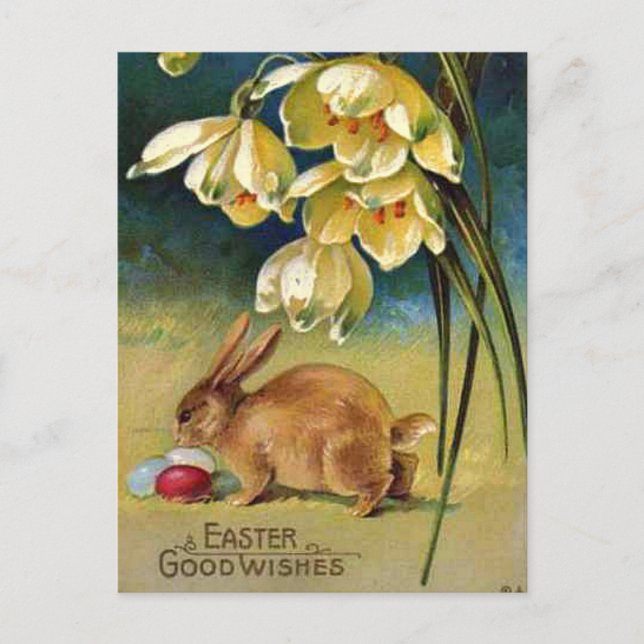 Bunny, Eggs, and Snowdrops, vintage 1910 Postcard (Front)