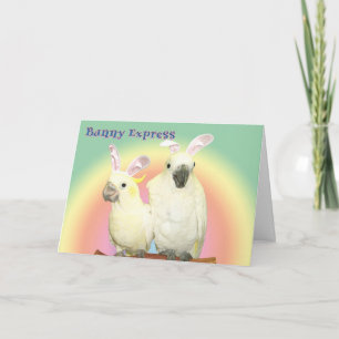 Bunny Express Holiday Card