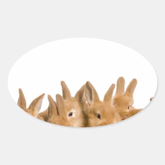 BUNNY FARM OVAL STICKER