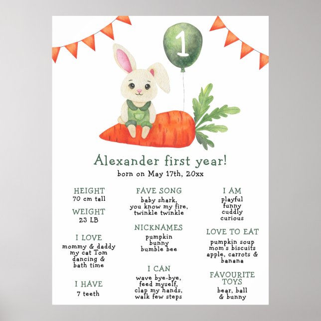 Bunny First Birthday Milestone Birthday Poster (Front)