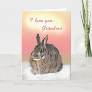 Bunny for Grandma Mother's Day Card