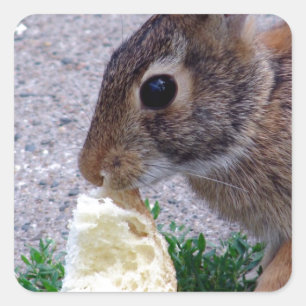 Bunny Found Bread Square Sticker