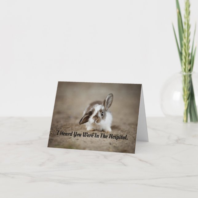 Bunny Get Well Greeting Card (Front)