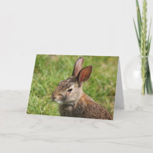 Bunny Greeting Card