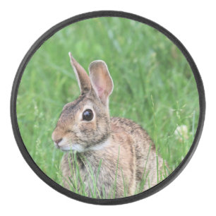 Bunny hockey puck