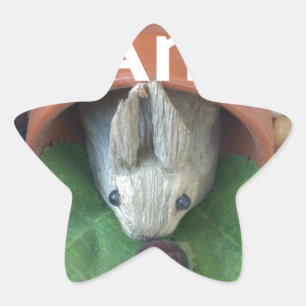 Bunny Home Honey Am Home Star Sticker