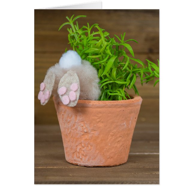 Bunny in Flower Pot  (Front)
