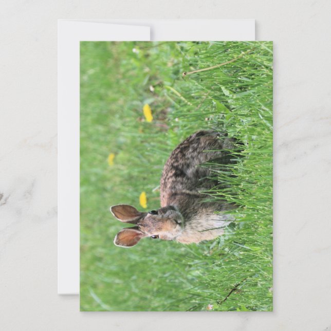 Bunny  invitation (Front)