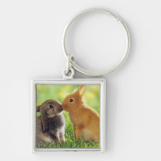 Bunny Kiss Key Ring (Front)