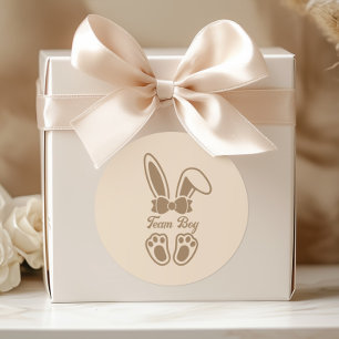 Bunny Light Beige Gender Reveal Team Boy Classic Round Sticker