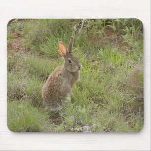 Bunny Looks Over Shoulder Mouse Mat