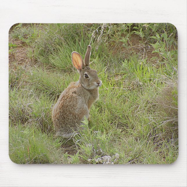 Bunny Looks Over Shoulder Mouse Mat (Front)