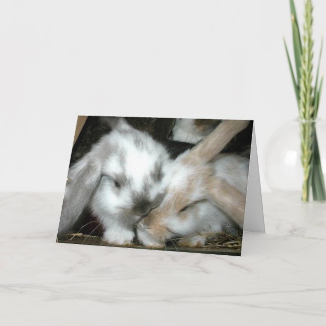 Bunny Love Anniversary Card (Front)