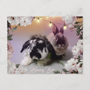 Bunny Love Postcard