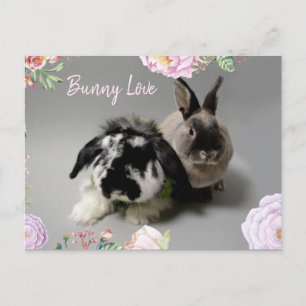Bunny Love Postcard