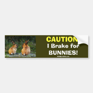 BUNNY LOVE Wild Rabbit Collection Bumper Sticker