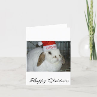 bunny lovers holiday card