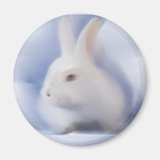 Bunny Magnet