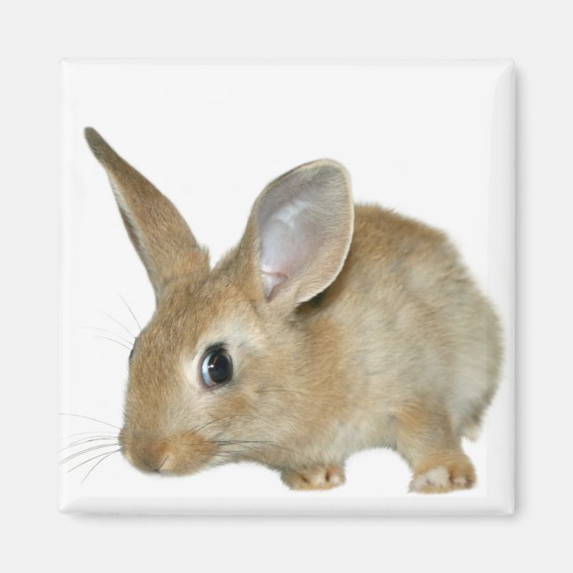 Bunny magnet (Front)