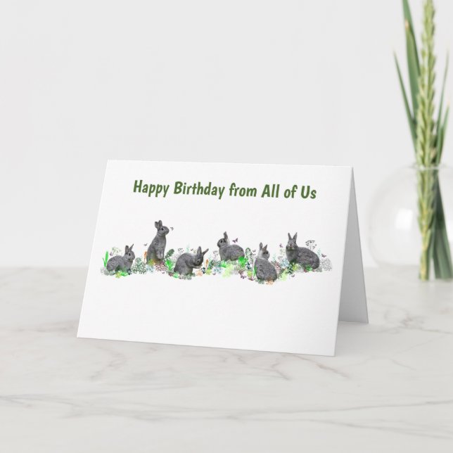 Bunny Meadow Card (Birthday) (Front)