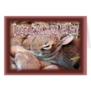 Bunny-newbaby-customise