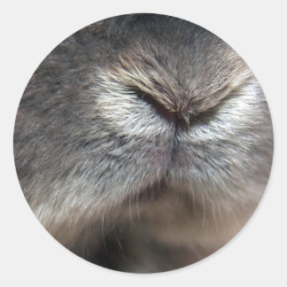 Bunny Nose Classic Round Sticker