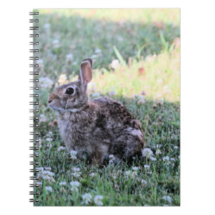 Bunny notebook