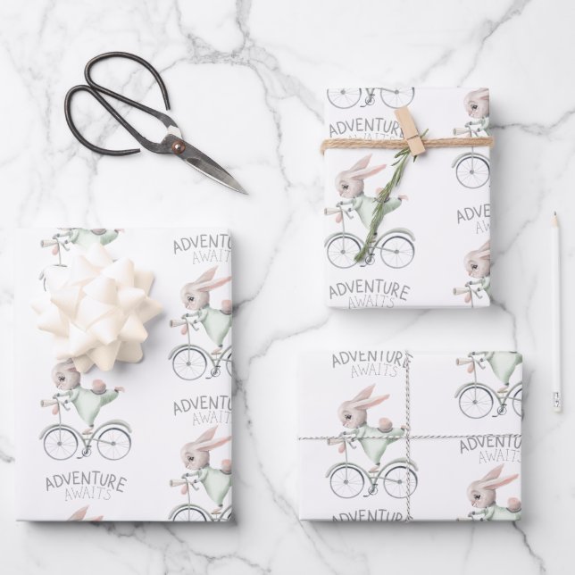 Bunny on Bicycle Wrapping Paper Sheets (Front)