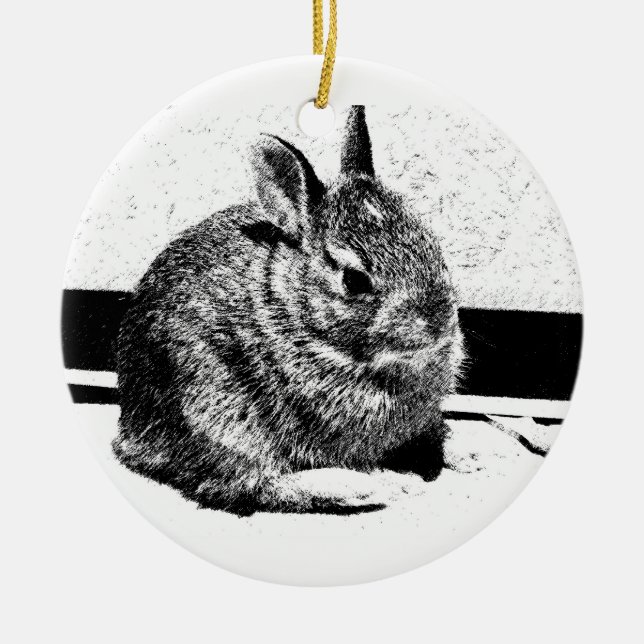 Bunny Ornament (Front)