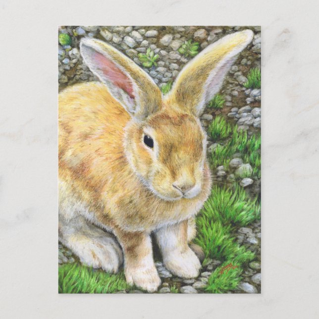 Bunny Pastel Postcard (Front)