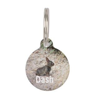 Bunny Pet Tag