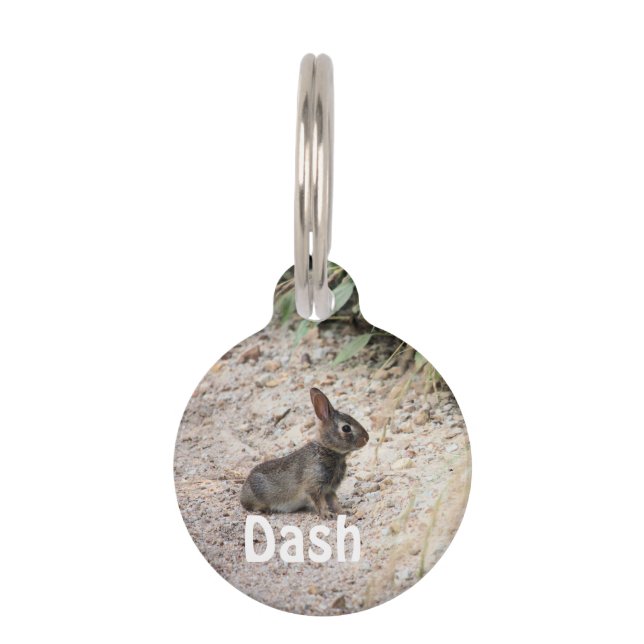 Bunny Pet Tag (Front)